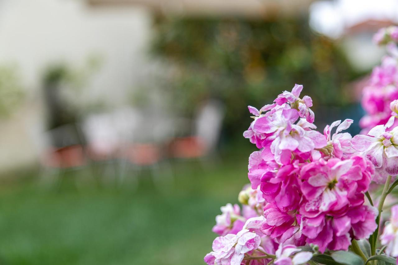 Villa Vardakas Pefkochori Dış mekan fotoğraf